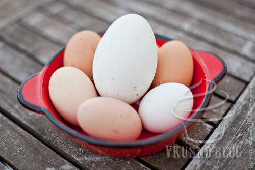 Инкубация гусиных яиц