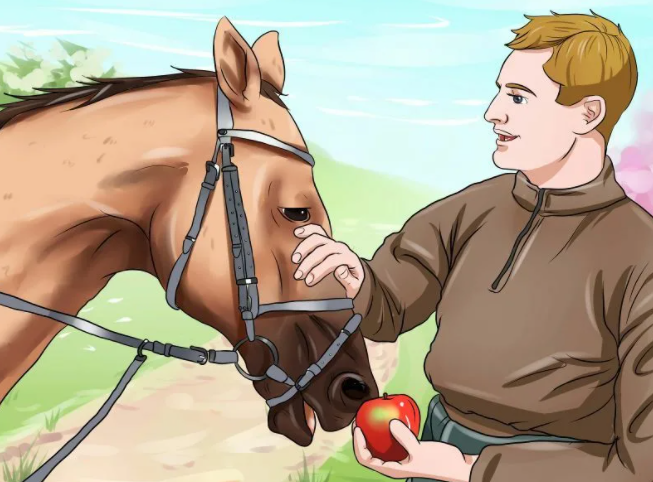 Как приручить коня