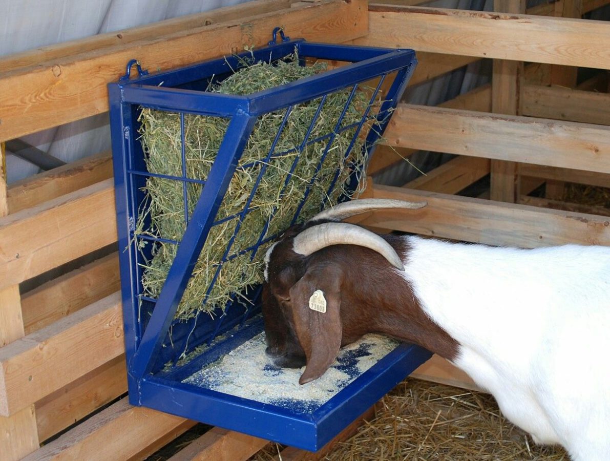 Кормушка для коз своими руками