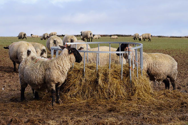 Кормушка для овец для сена