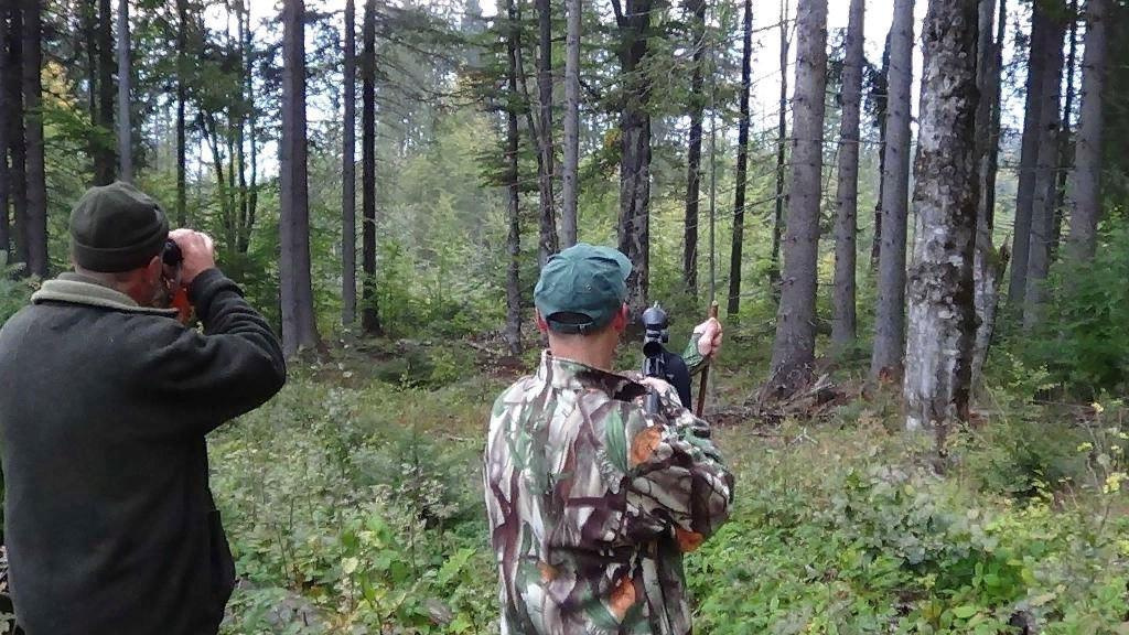 Популярные виды охот в России
