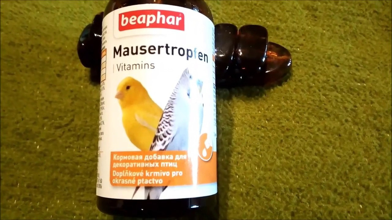 Витамины для попугаев всех пород