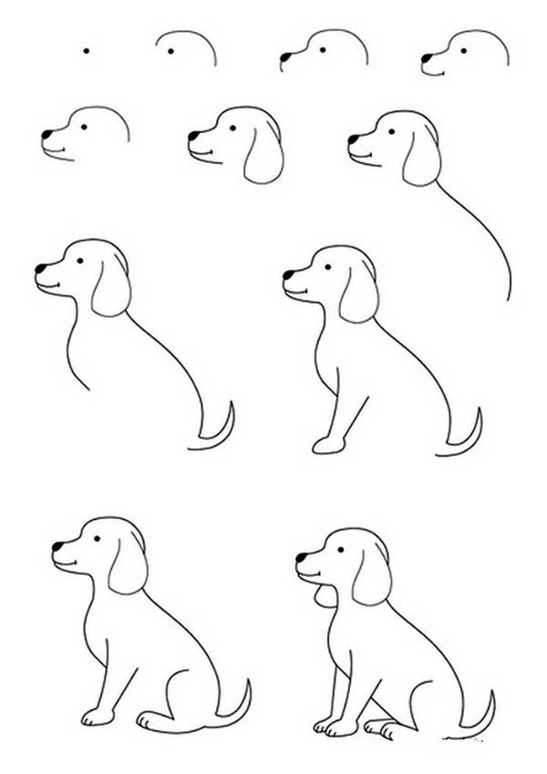 Как нарисовать собаку карандашом поэтапно - простая инструкция для детей до 10 лет и старше