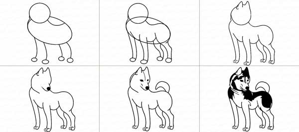 Как нарисовать собаку карандашом поэтапно - простая инструкция для детей до 10 лет и старше