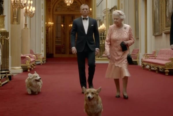Порода собак английской королевы: исторические факты, родословная обитателей дворца и их привилегии