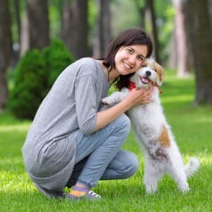Собаки-компаньоны - породы для квартиры и для ребенка: список лучших по характеру и внешним данным
