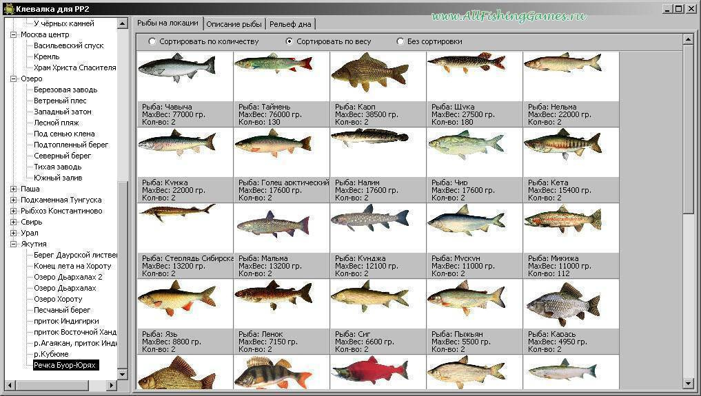 Видовой состав рыб в Волге