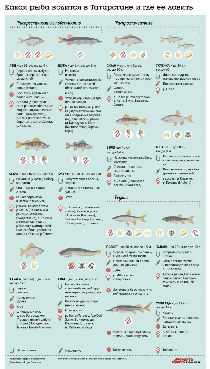 Видовой состав рыб в Волге
