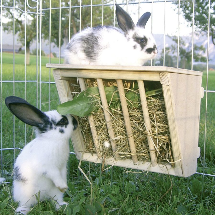 Кормушки для кроликов