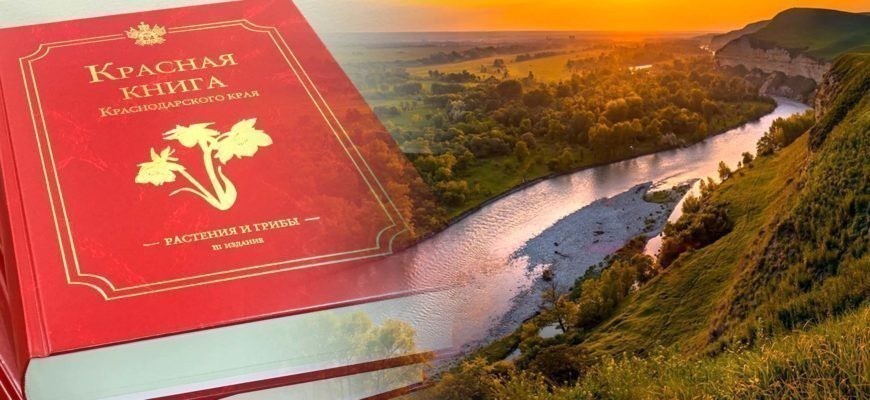 Красная книга Краснодарского края – список, описание животных, растений, грибов с фото и видео