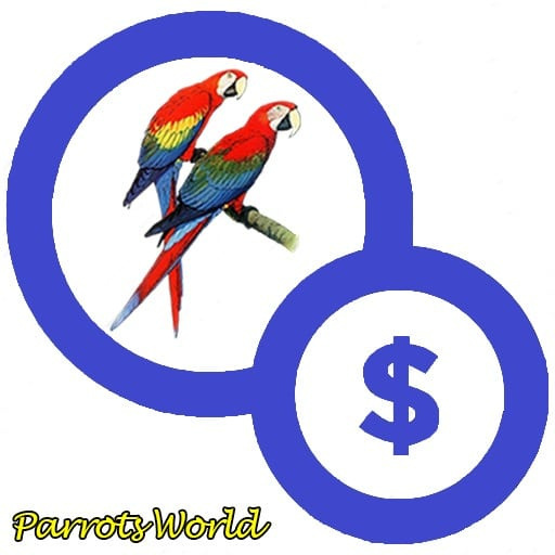 Сколько стоит попугай