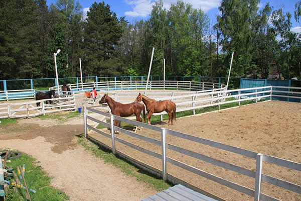 Сооружение комфортного загона для лошадей