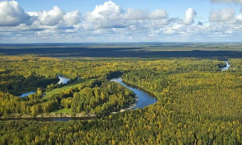 Природные зоны западной Сибири