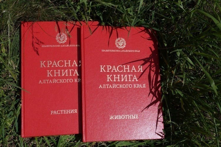Редкие животные и растения, включенные в Красную книгу Алтайского края
